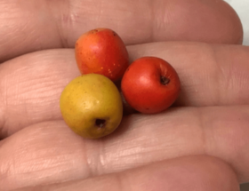 Polymer Clay Miniature Apples